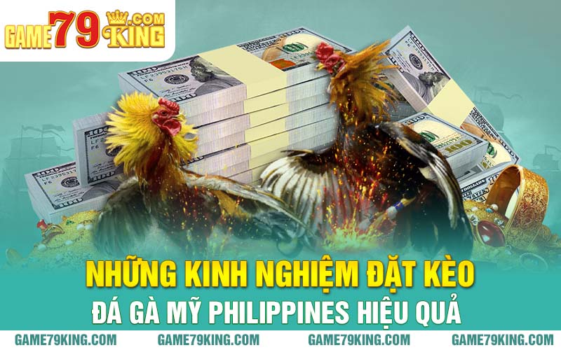 Những kinh nghiệm đặt kèo đá gà Mỹ Philippines hiệu quả